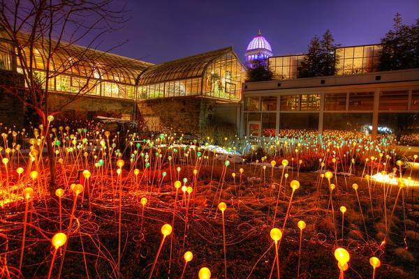 Photograph Larry Hamill Conservatory 2 on One Eyeland